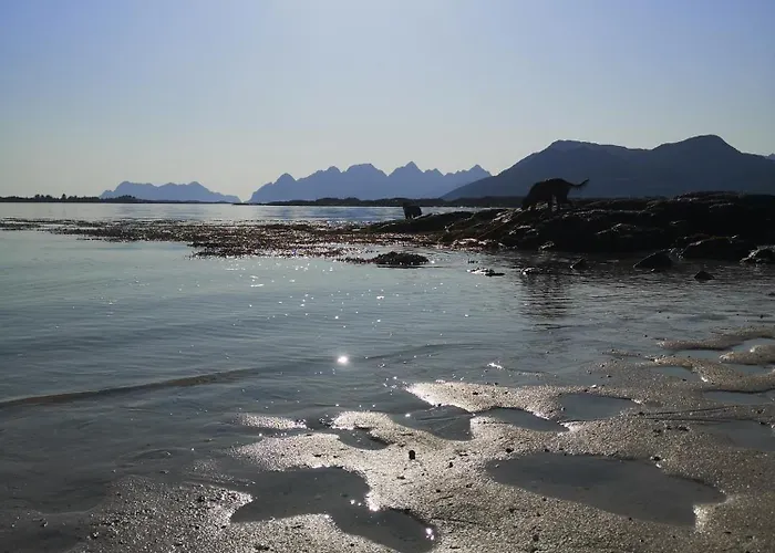 بيت للعطل Idyllisk I Lofoten