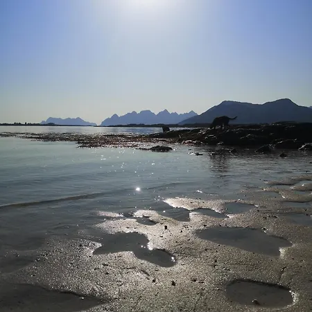 بيت للعطل Idyllisk I Lofoten